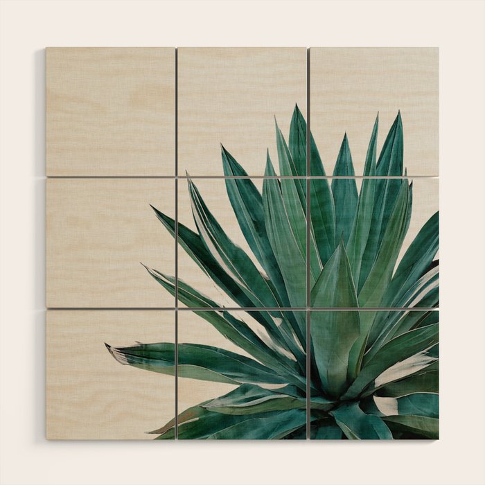 Agave Cactus Wood Wall Art Gallery Image 1