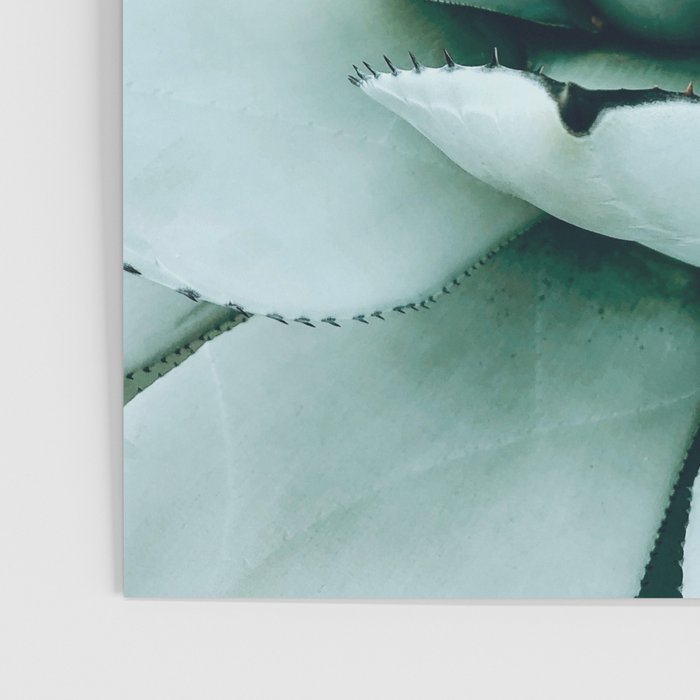 Succulent love Poster Gallery Image 3