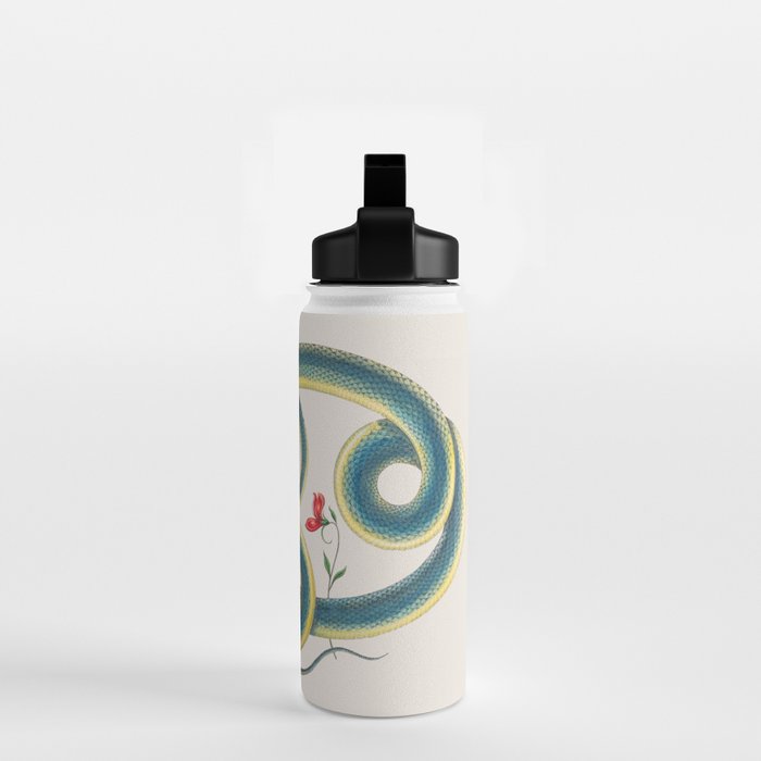 Albertus Seba Snakes Flowers Engraving Water Bottle Gallery Image 2