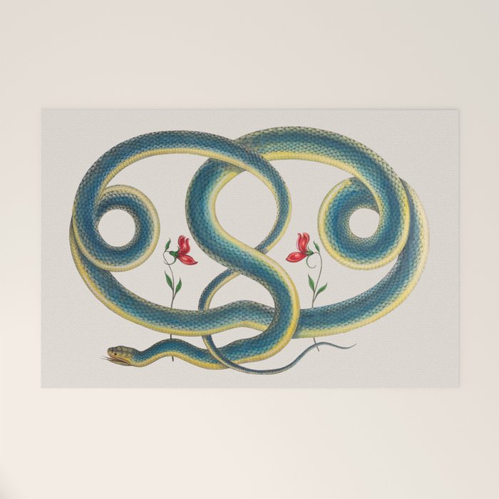 Albertus Seba Snakes Flowers Engraving Welcome Mat Gallery Image 1