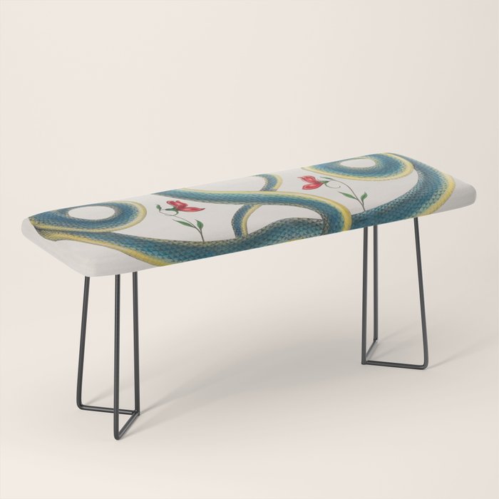 Albertus Seba Snakes Flowers Engraving Bench Gallery Image 1