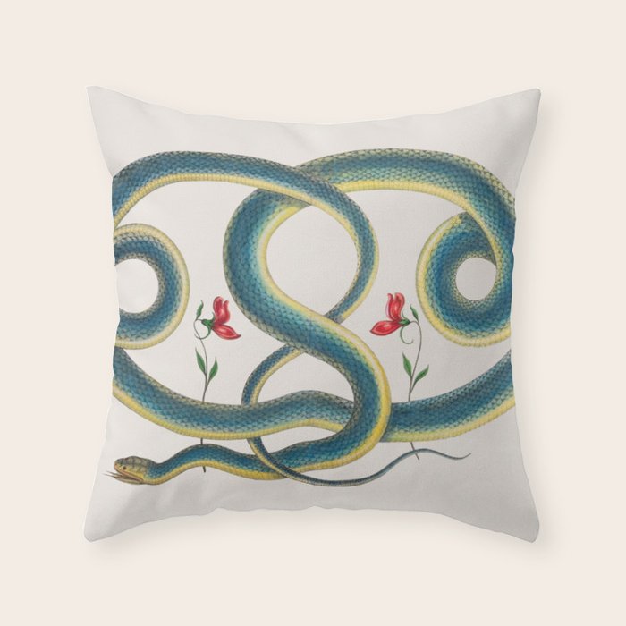 Albertus Seba Snakes Flowers Engraving Throw Pillow Gallery Image 6