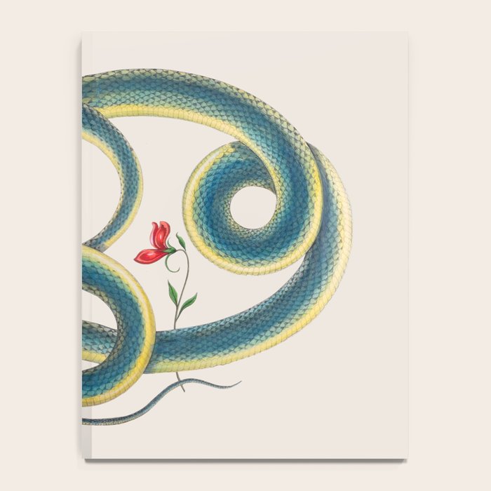 Albertus Seba Snakes Flowers Engraving Notebook Gallery Image 4