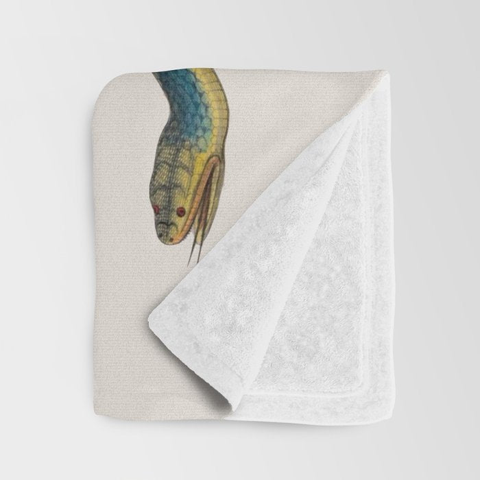 Albertus Seba Snakes Flowers Engraving Throw Blanket Gallery Image 3