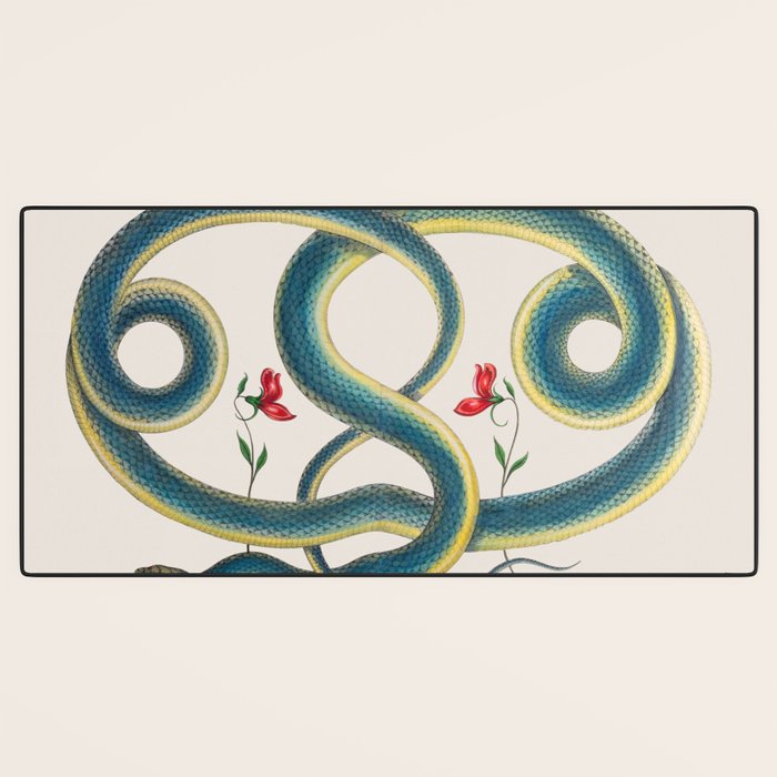 Albertus Seba Snakes Flowers Engraving Desk Mat Gallery Image 3