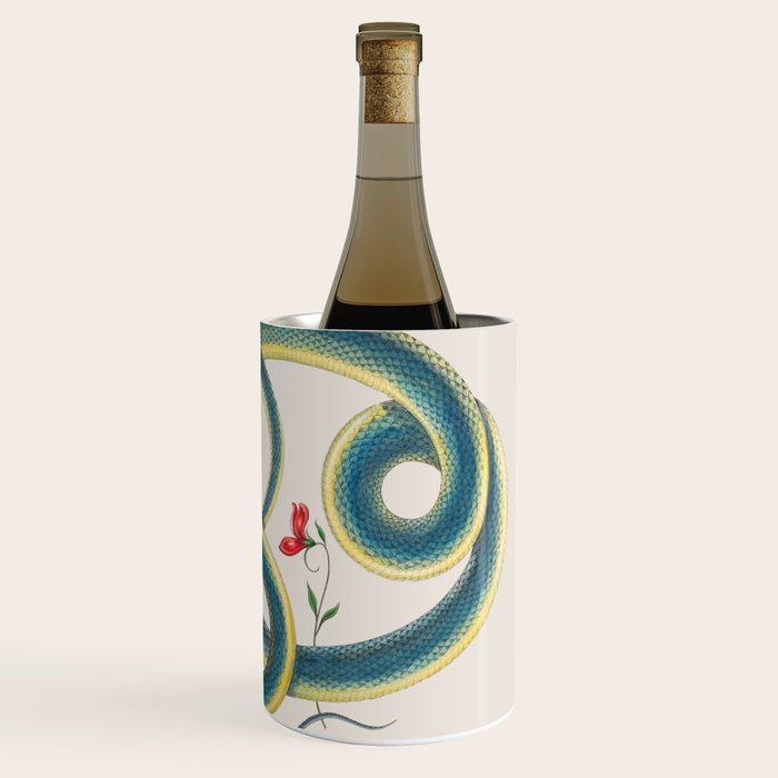 Albertus Seba Snakes Flowers Engraving Wine Chiller Gallery Image 3
