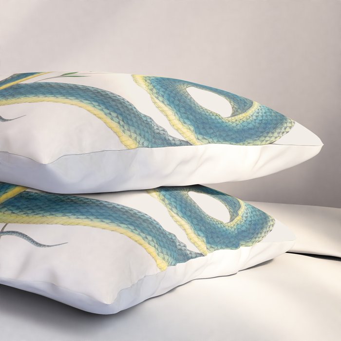 Albertus Seba Snakes Flowers Engraving Pillow Sham Gallery Image 3