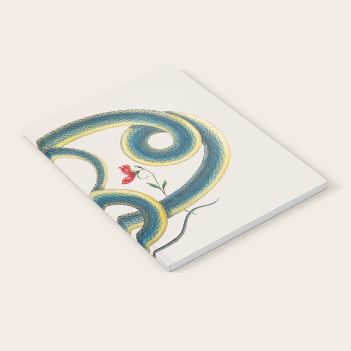 Albertus Seba Snakes Flowers Engraving Notebook Gallery Image 1