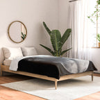 ALEXANDER THE GREAT Comforter Gallery Image 2
