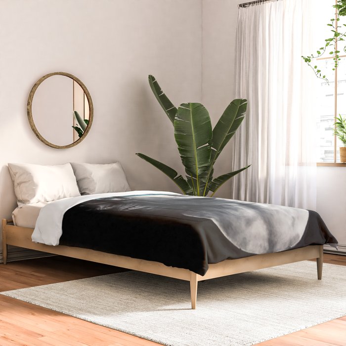 ALEXANDER THE GREAT Comforter Gallery Image 2