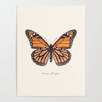 Monarch Butterfly (Danaus Plexippus) Poster Gallery Image 4