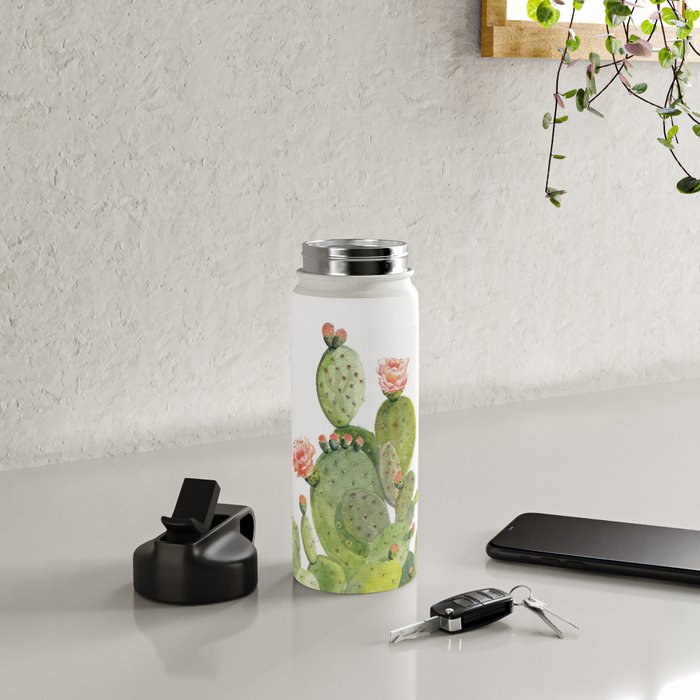 Cactus Water Bottle Gallery Image 5