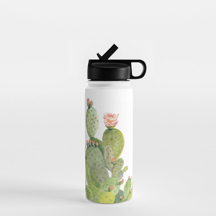 Cactus Water Bottle Gallery Image 1