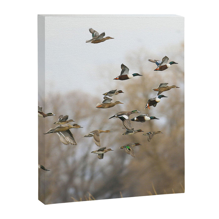 Ducks in Autumn Flight Canvas Print Gallery Image 1