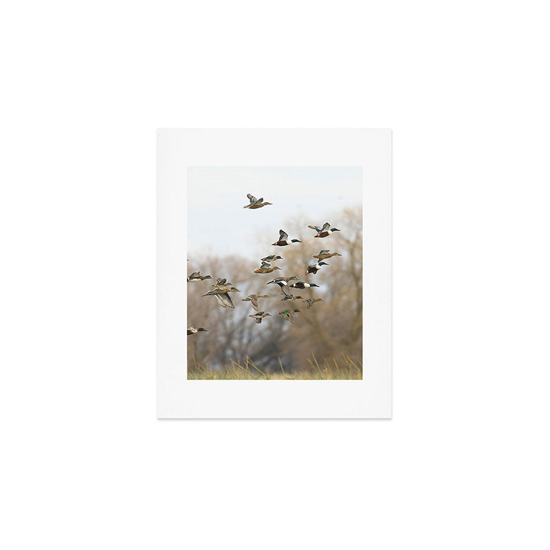 Ducks in Autumn Flight Art Print Gallery Image 1