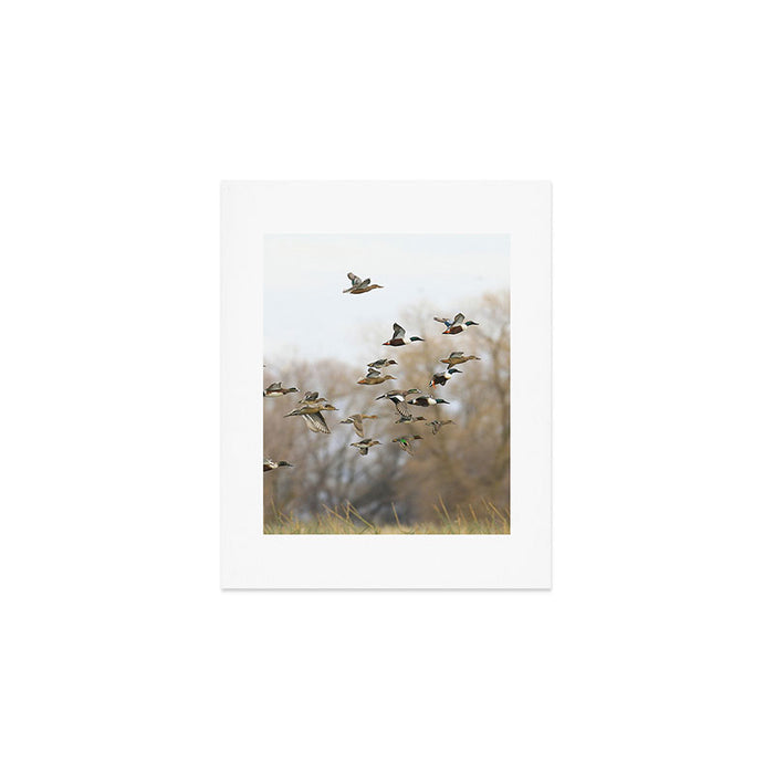 Ducks in Autumn Flight Art Print Gallery Image 1