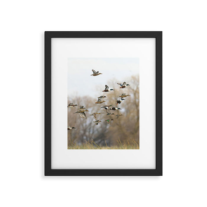 Ducks in Autumn Flight Framed Art Print Gallery Image 1