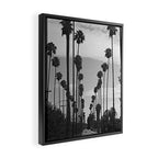 Vintage Black & White California Palm Trees Photo Framed Canvas Print Gallery Image 2
