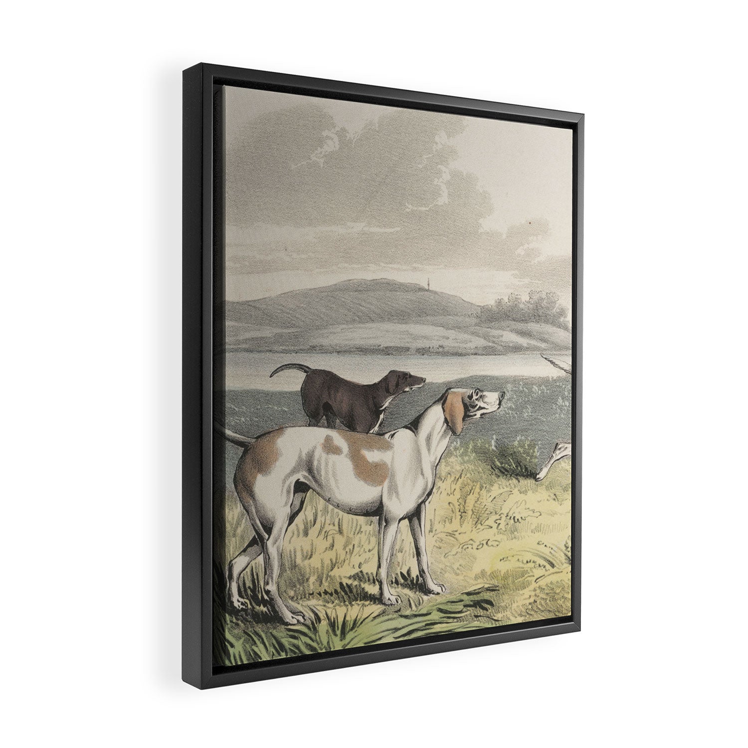 Vintage Illustration of Pointer Dogs (1846) Framed Canvas Print Gallery Image 2