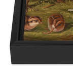 Vintage Quails & Their Chicks Illustration (1867) Framed Canvas Print Gallery Image 3