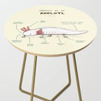 Anatomy of an Axolotl Side Table Gallery Image 2