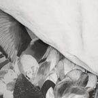 New Skull Light B&W Comforter Gallery Image 4