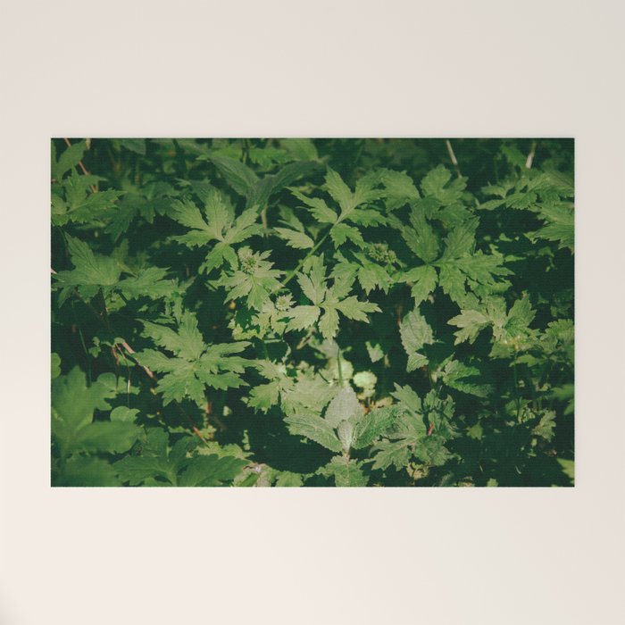 Some Greenery II Welcome Mat Gallery Image 1