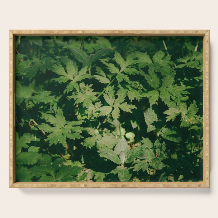 Some Greenery II Serving Tray Gallery Image 1