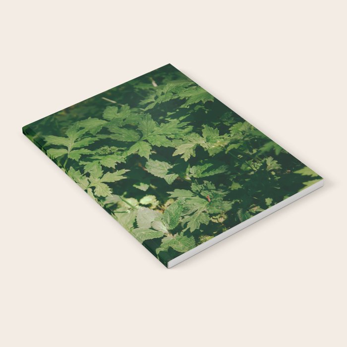 Some Greenery II Notebook Gallery Image 1
