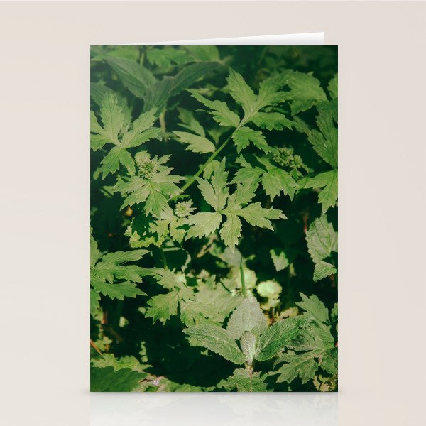 Some Greenery II Stationery Card Gallery Image 1
