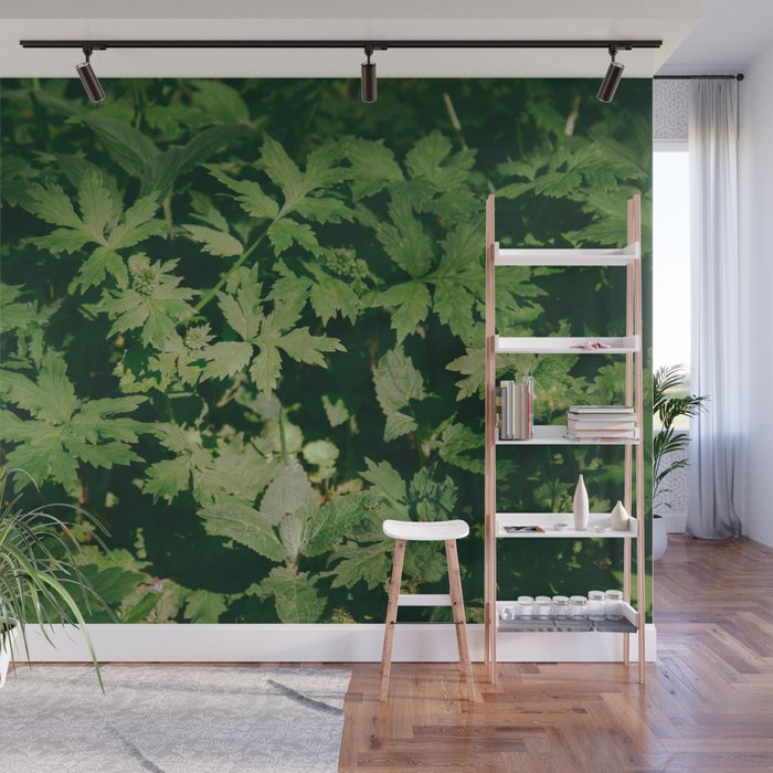 Some Greenery II Wall Mural Gallery Image 1