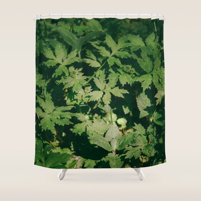 Some Greenery II Shower Curtain Gallery Image 1