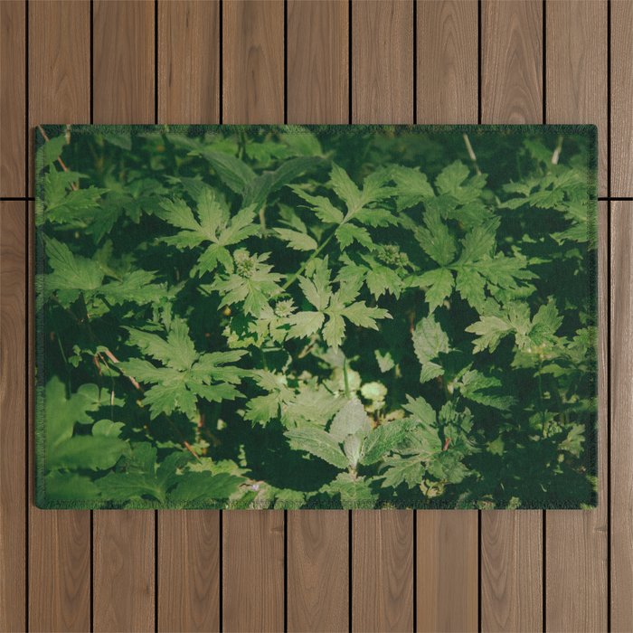 Some Greenery II Outdoor Rug Gallery Image 1