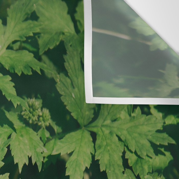 Some Greenery II Wall Tapestry Gallery Image 3