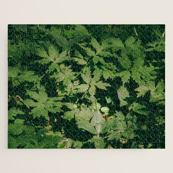 Some Greenery II Jigsaw Puzzle Gallery Image 1