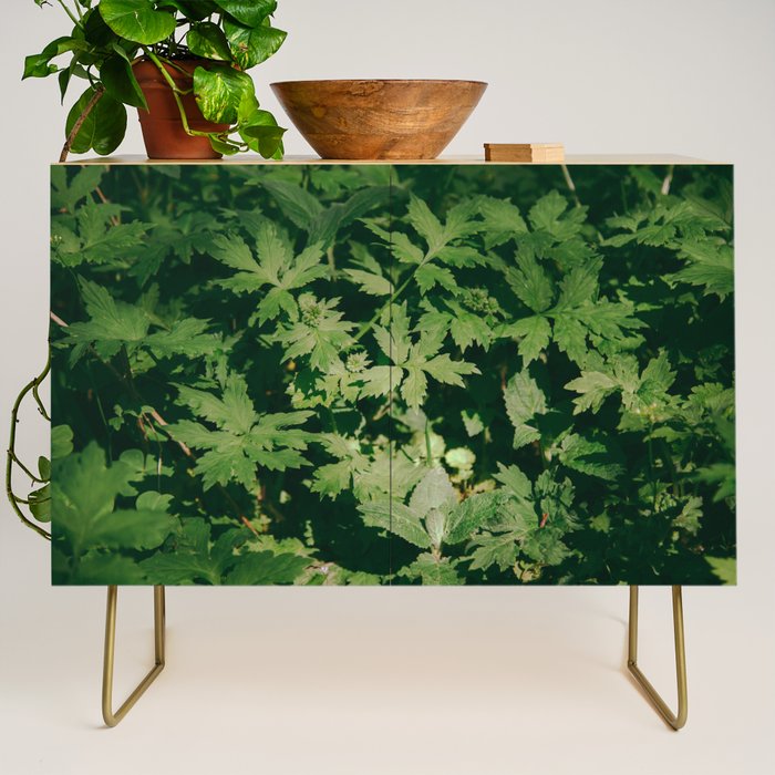 Some Greenery II Credenza Gallery Image 1
