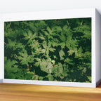 Some Greenery II Wall Mural Gallery Image 2