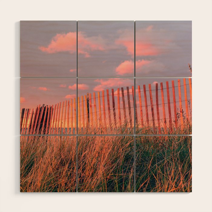 Forgotten Beach Wood Wall Art Gallery Image 1