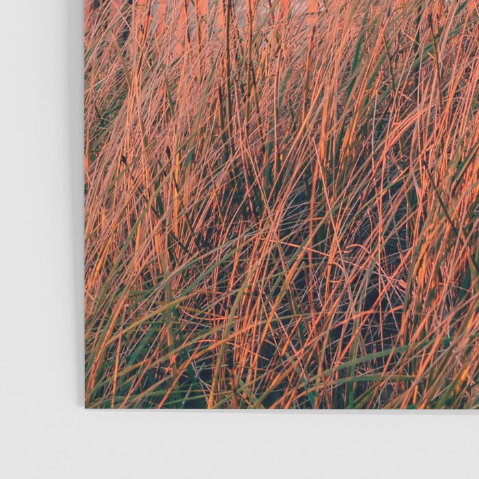Forgotten Beach Poster Gallery Image 3