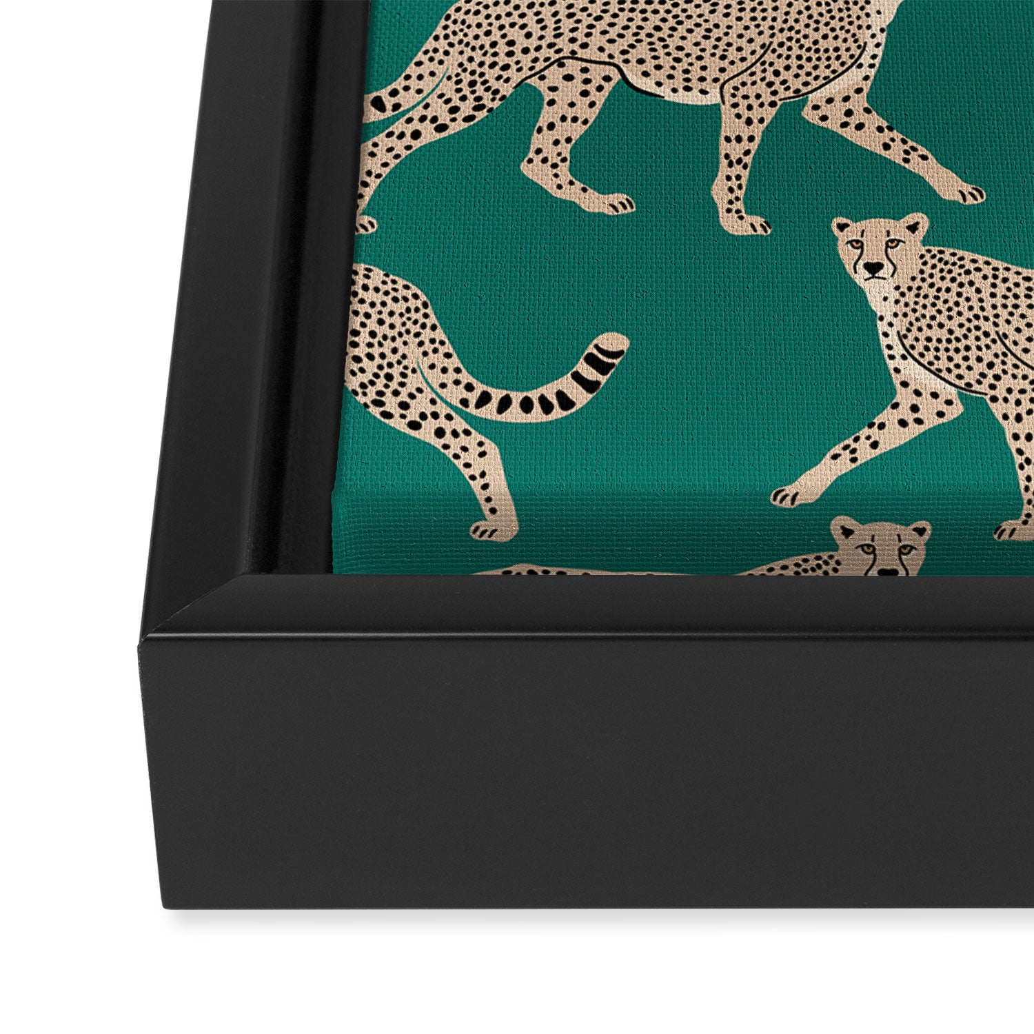 Walking Cheetahs 8 Framed Canvas Print Gallery Image 3