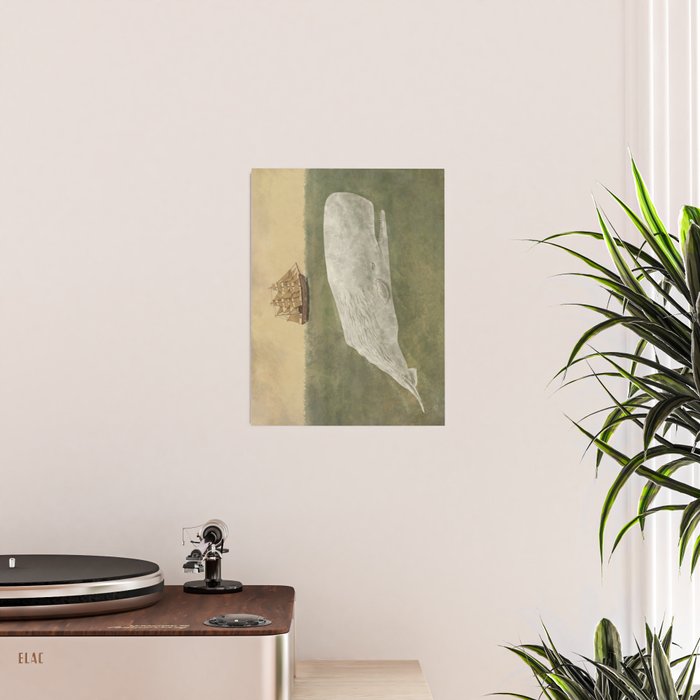 Far From Nantucket  Poster Gallery Image 2