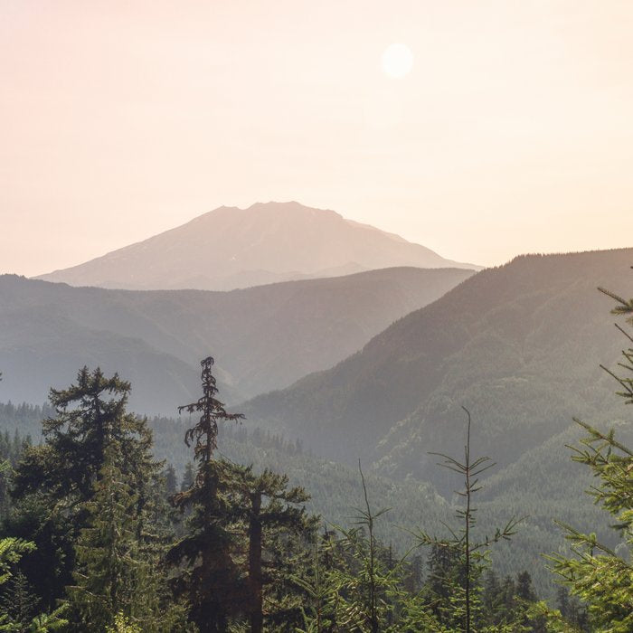 Forest Mountain Wanderlust III - Nature Photography Coffee Mug Gallery Image 2