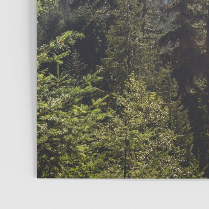 Forest Mountain Wanderlust III - Nature Photography Poster Gallery Image 3