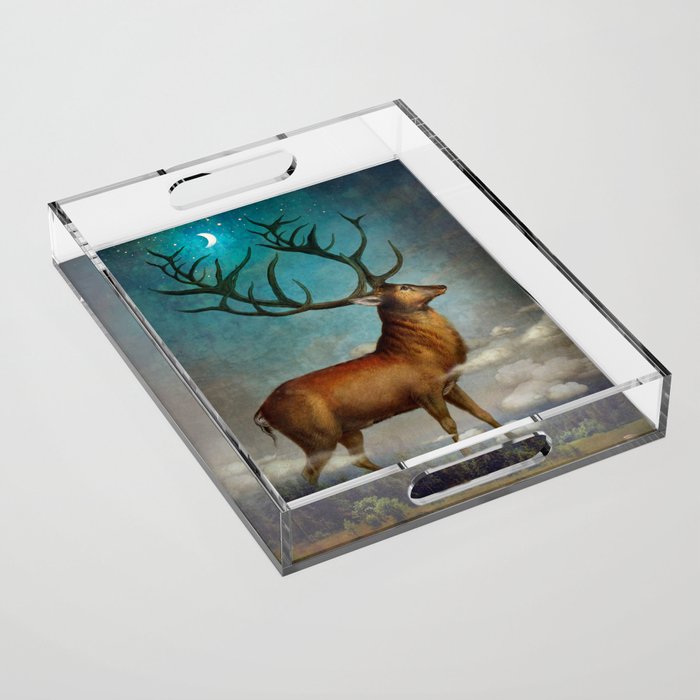 King of the Night Acrylic Tray Gallery Image 1