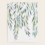 Eucalyptus Drop  Poster Gallery Image 4