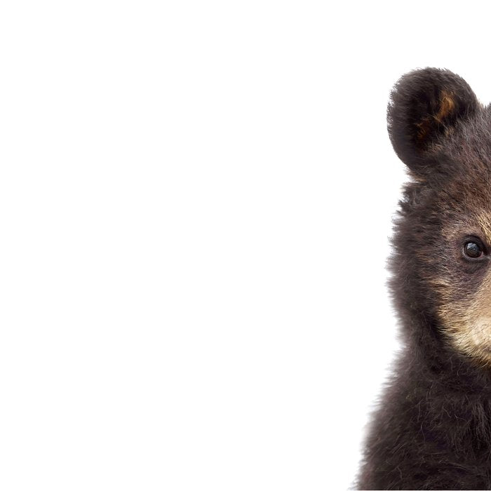 Baby Bear, Bear Cub, Kids Art, Baby Animals Art Print By Synplus Coffee Mug Gallery Image 2
