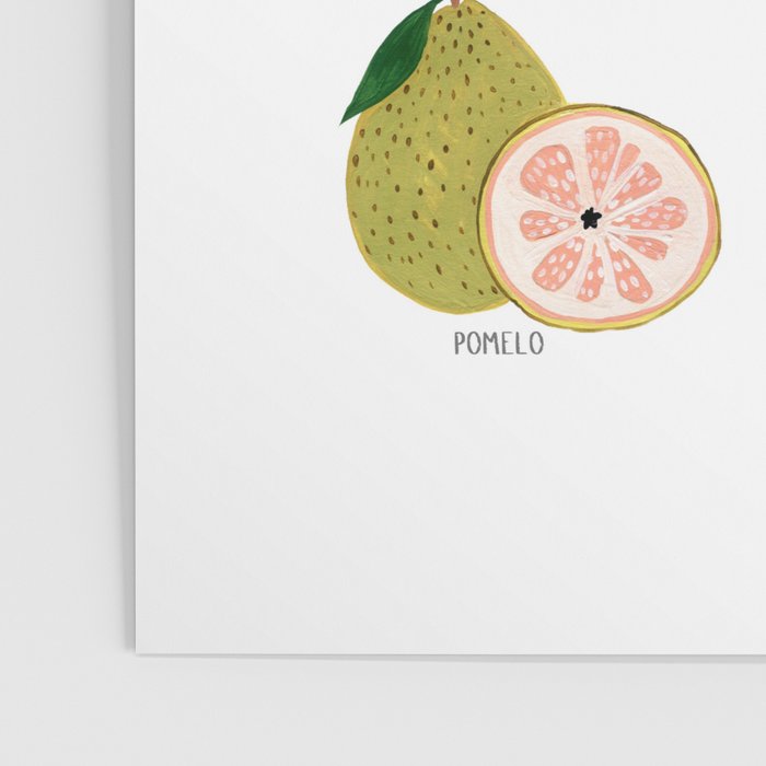 Summer Fruits Poster Gallery Image 3