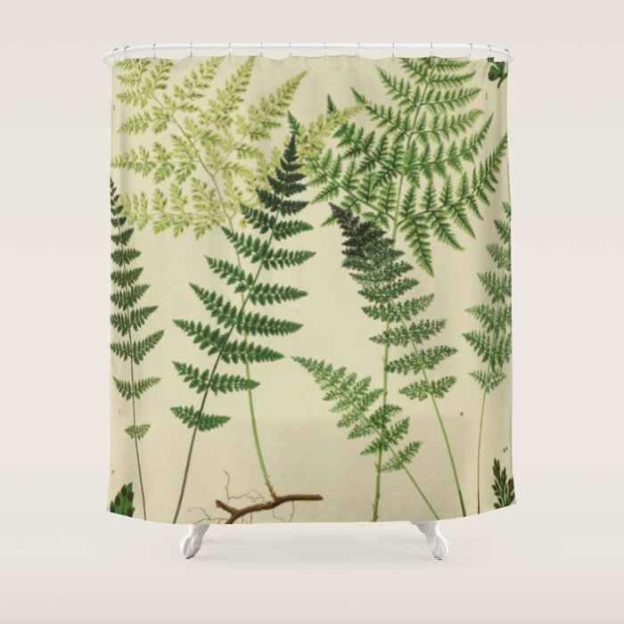 Botanical Ferns Shower Curtain Gallery Image 1