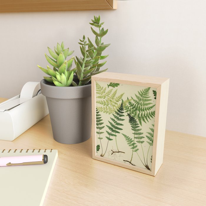 Botanical Ferns Mini Art Print Gallery Image 2