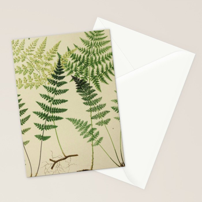 Botanical Ferns Stationery Card Gallery Image 2